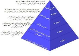 رهبری سطح ۵